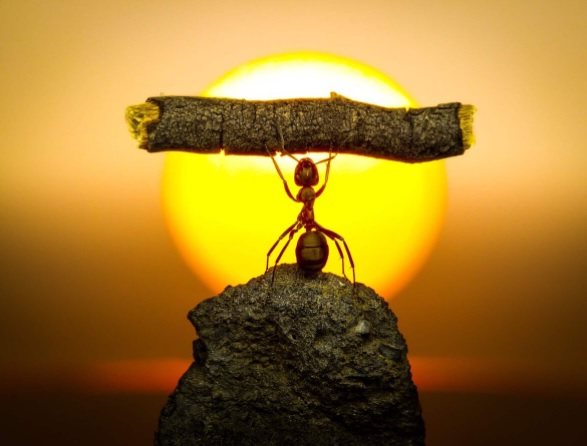 Man practicing at home on a mat